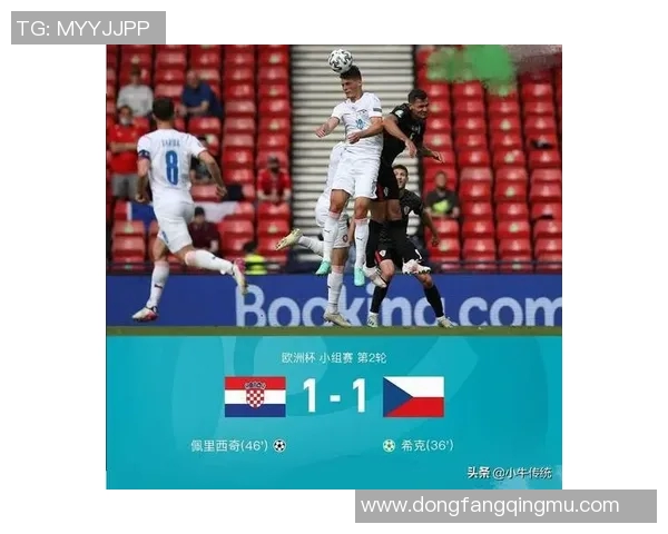 塞燃佣与法国的较量：一场文化与实力的碰撞与对抗